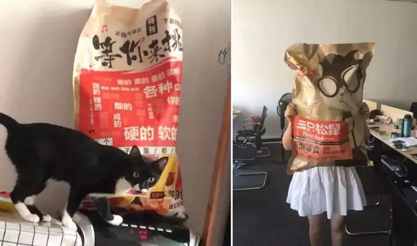 三只松鼠遵循了哪些营销观念,三只松鼠是如何营销的