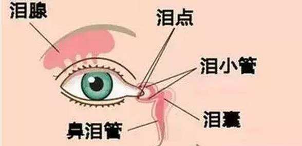 7个月宝宝眼睛被划了一下有事吗,宝宝眼睛被划了一下流泪
