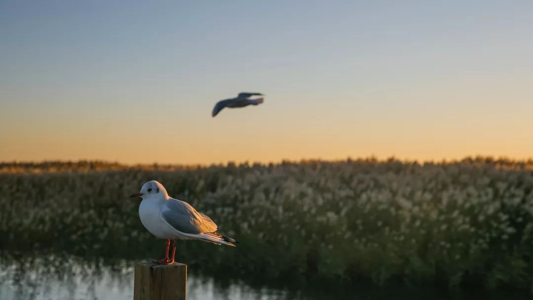 别人说你很优秀如何回答,有人说自己平庸至极你如何回应他