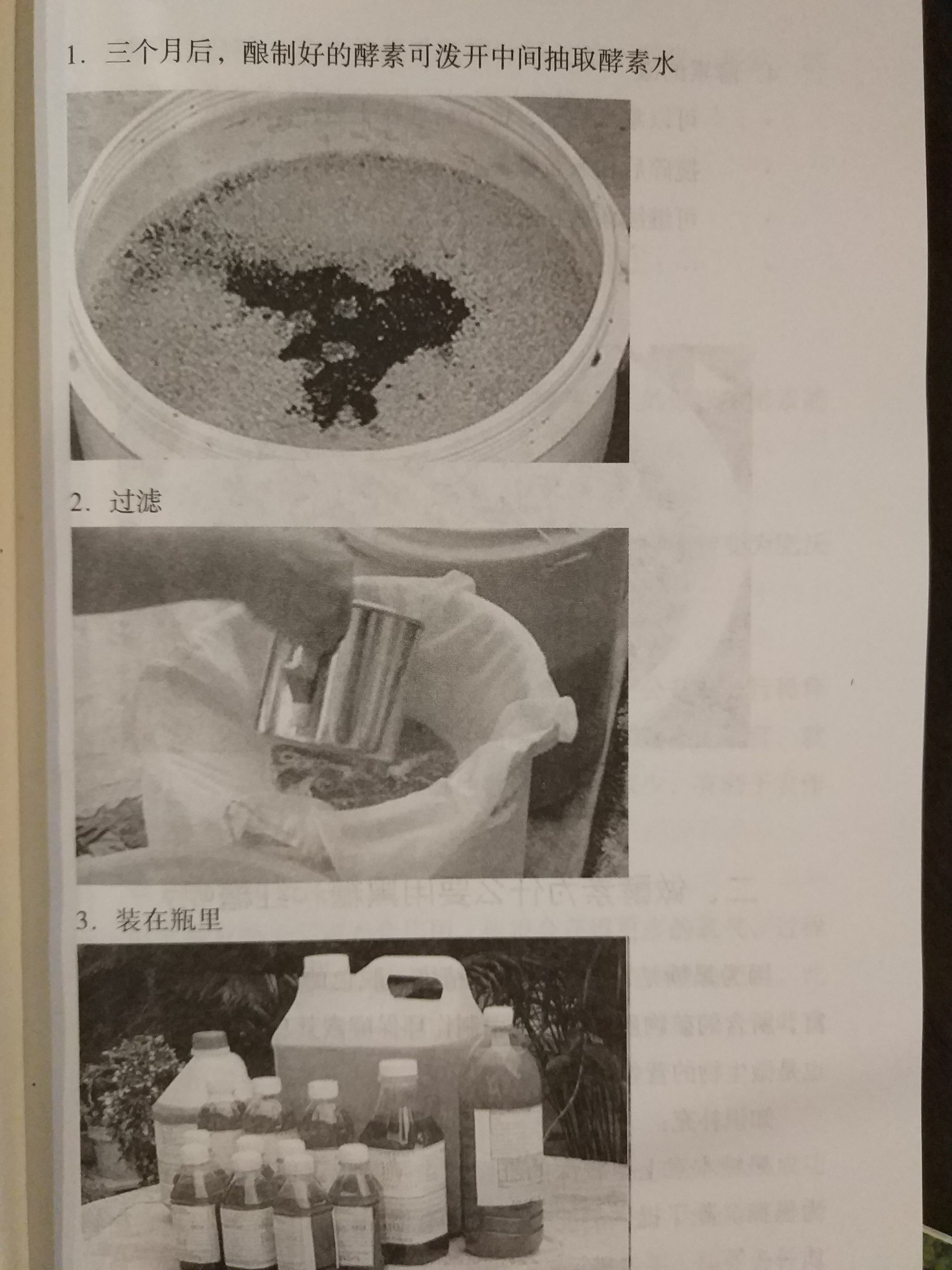 环保酵素的作用及危害,环保酵素作用和功效