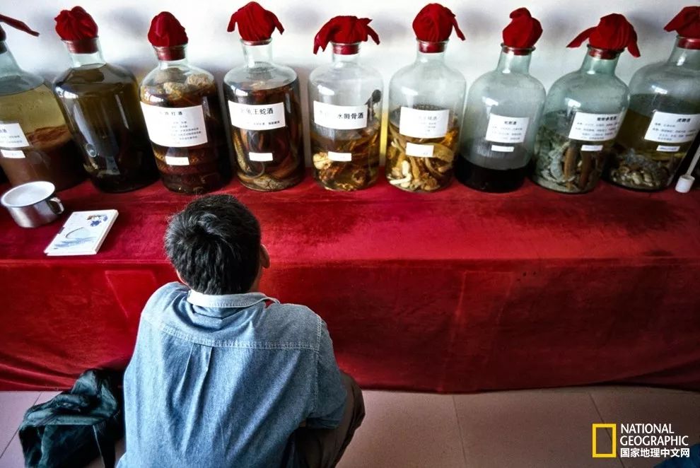 国家地理历史解密,国家地理老虎的复仇