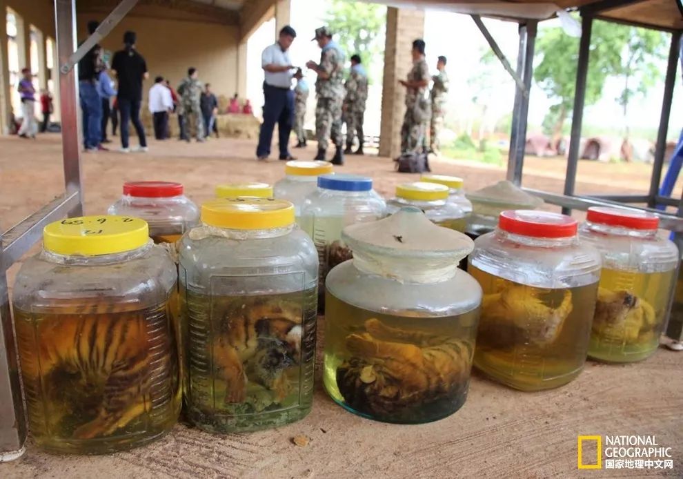 “谢谢你们,我们终于快死光了”