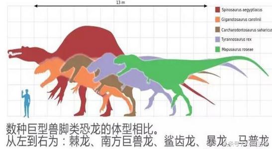 霸王龙的天敌食肉恐龙,巨型食肉牛龙对战霸王龙