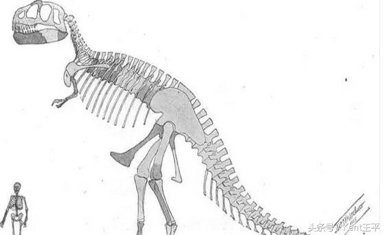 霸王龙的天敌食肉恐龙,巨型食肉牛龙对战霸王龙