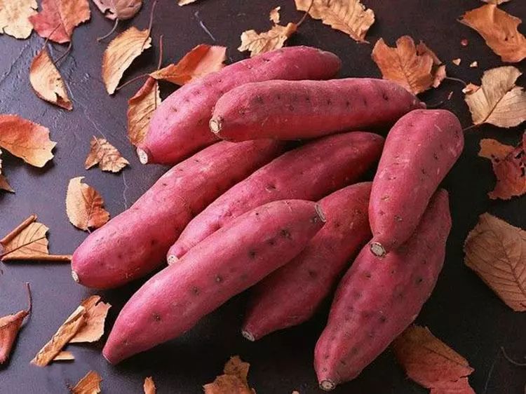 防城港美食海鲜,防城港特产海鲜干货