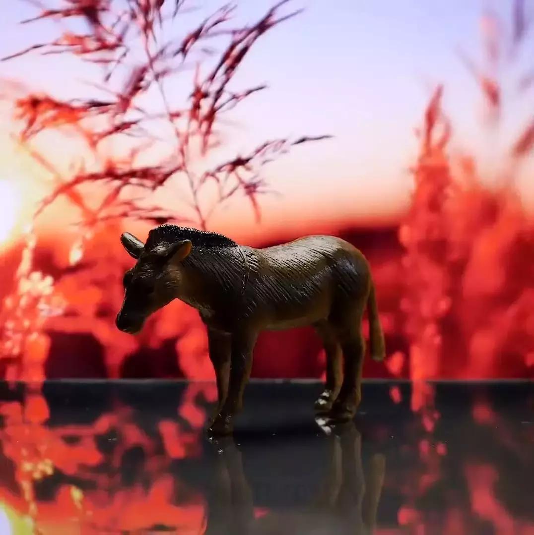 如何用手机拍出艺术照的效果,作为摄影师拍艺术照用什么相机