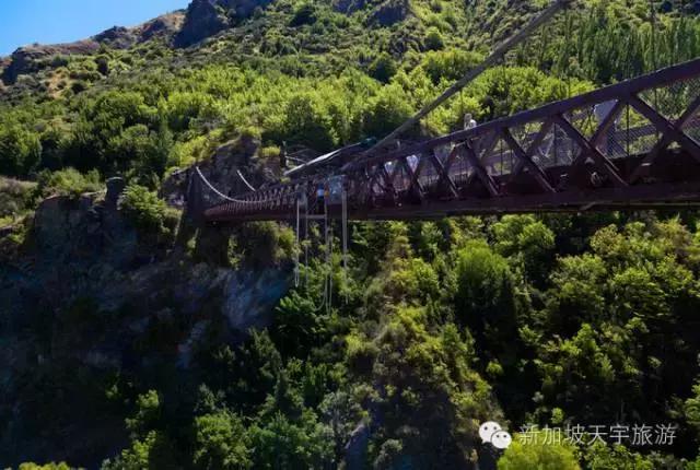 新西兰纯净之旅,10天时间旅游攻略