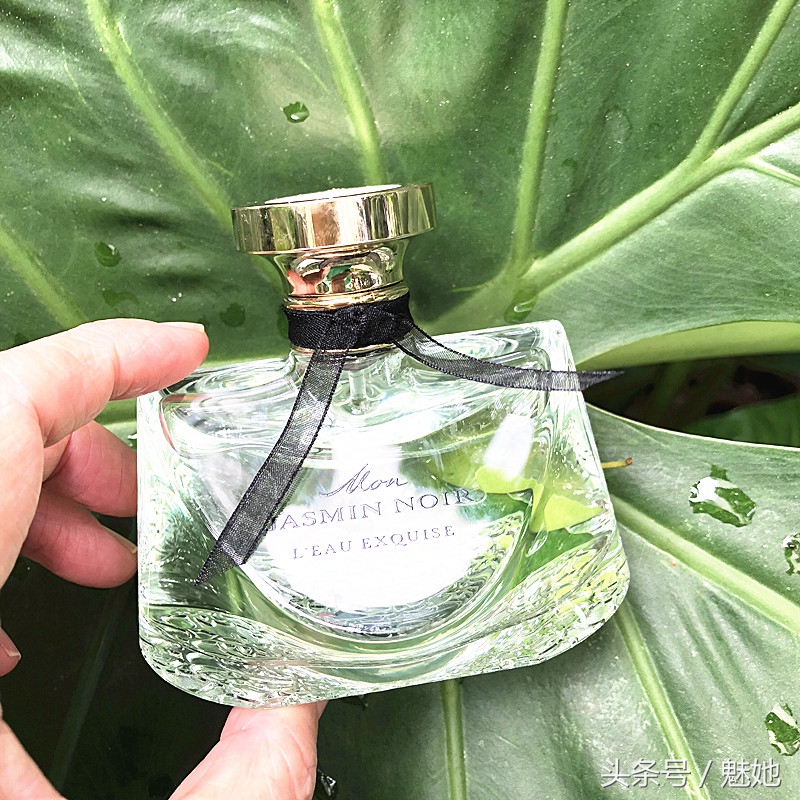 香味可持续一整天的10款香水,令人无法抗拒的香水