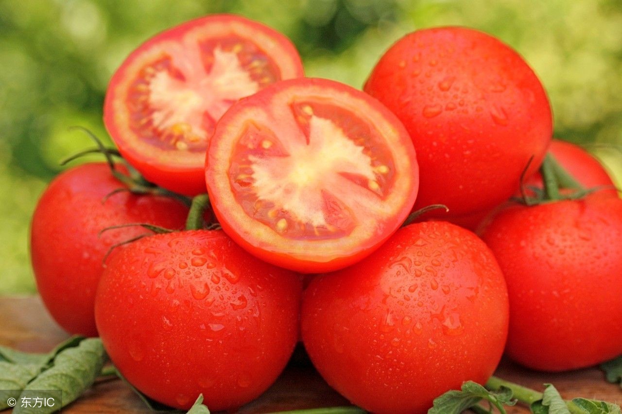 一岁半宝宝吃哪些蔬菜最好,半岁宝宝什么时候吃绿叶蔬菜