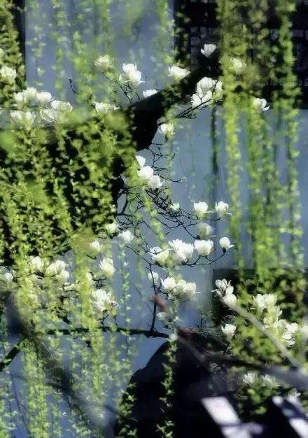 中医音乐疗法真实吗,中医养生音乐加长版