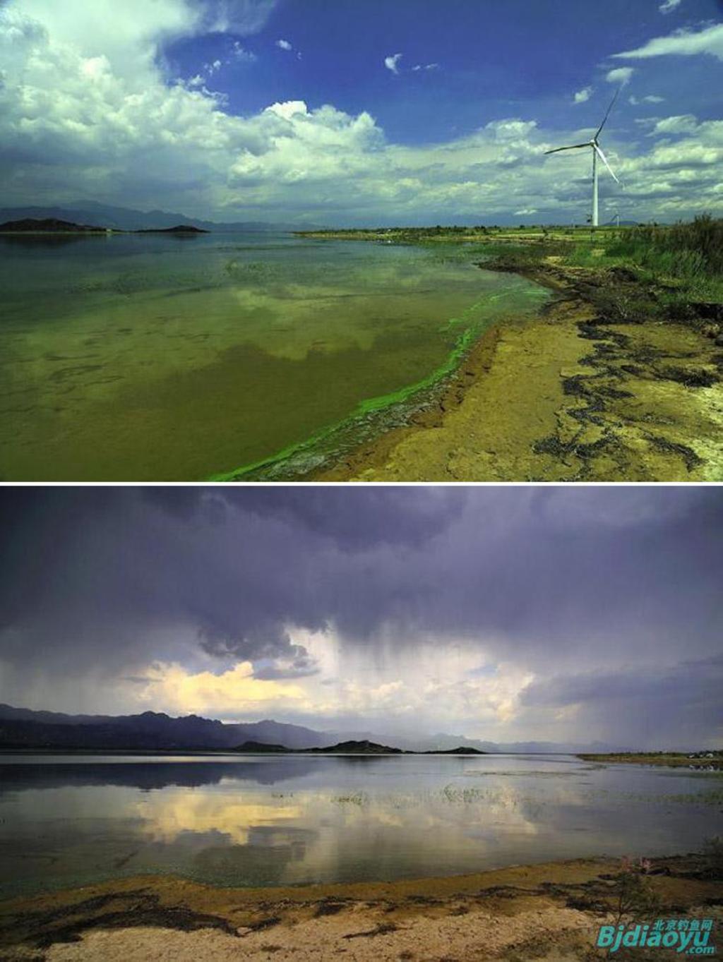 我的筏钓之乐全集,我的筏钓之乐完整版