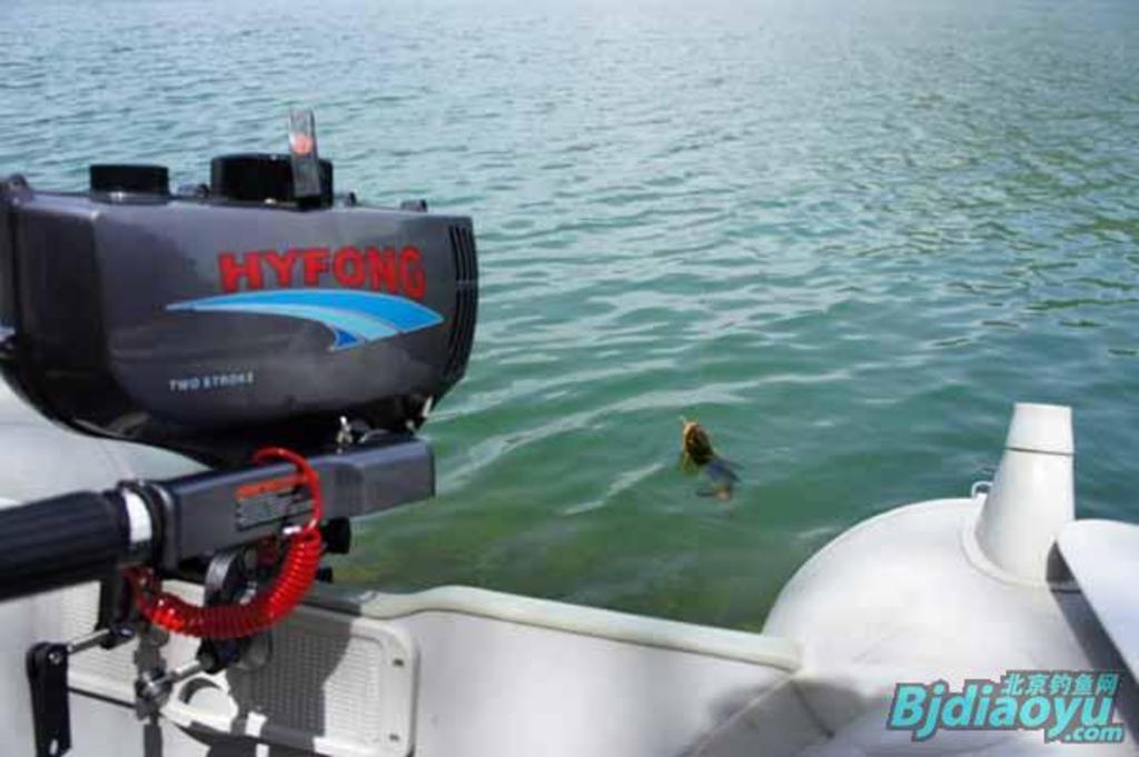 我的筏钓之乐全集,我的筏钓之乐完整版