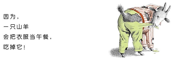 每个人都重要绘本推荐,童年不可错过的60本绘本