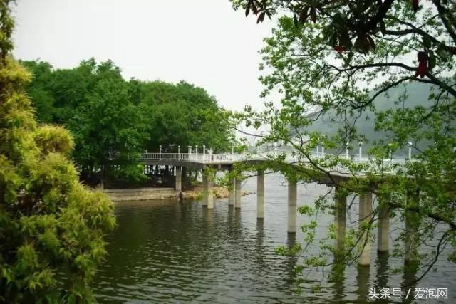 江浙沪深山老林旅游最好去处,清凉避暑好去处森林氧吧