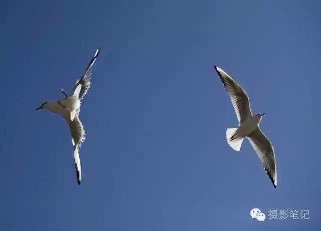 对焦模式及技巧必知,新手对焦入门基础知识