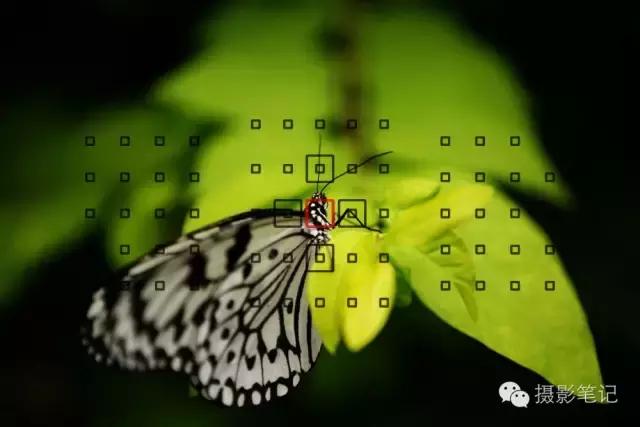 对焦模式及技巧必知,新手对焦入门基础知识