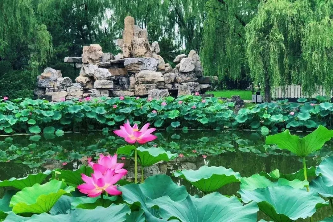 燕京u8啤酒节台江,赤峰燕京u8啤酒节