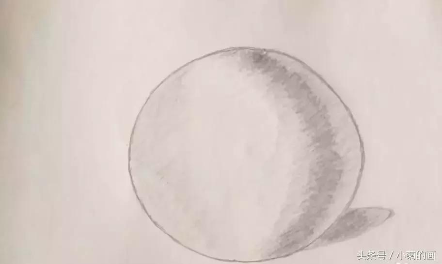 用素描纸素描笔画植物,素描手把手教学