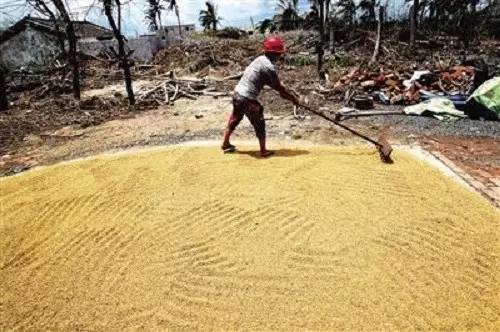 农村种地大实话顺口溜男声版,农村种地顺口溜句句扎心