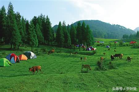 重庆一年四季天气最舒服的地方,重庆春夏气候