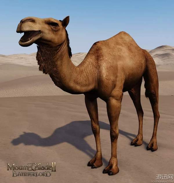 骑马与砍杀风云三国日志没有了,骑马与砍杀1.3更新日志