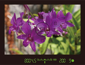 单反相机新手零基础教学佳能相机,佳能数码相机摄影技巧大全