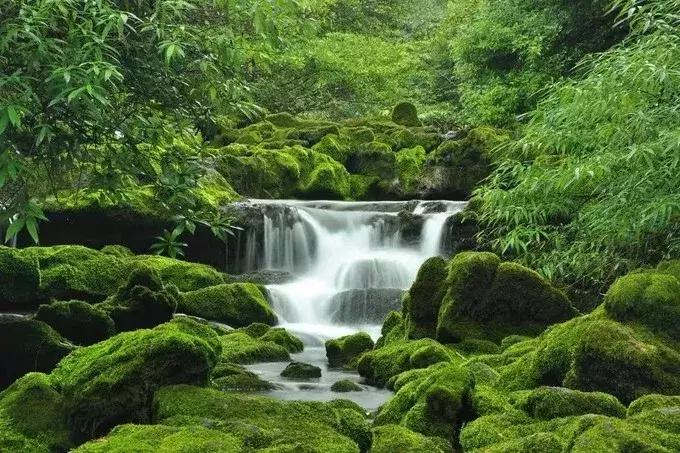贵州有没有十万大山,贵州美如仙境的小县