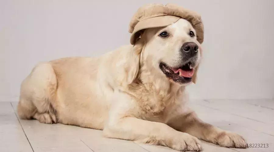 女童头皮长了一个肉疙瘩,女童头上长疙瘩怎么回事