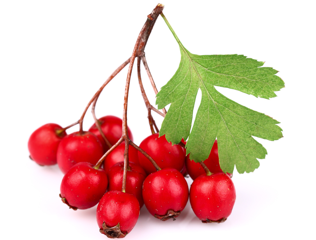 中暑喝什么花茶解暑,中暑花茶