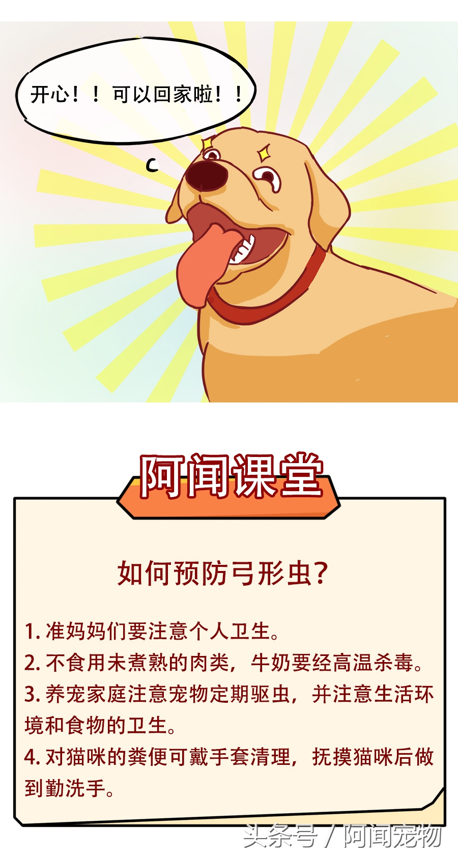 没养过猫狗的孕妇会感染弓形虫吗,孕期需要给猫狗做几次弓形虫检查