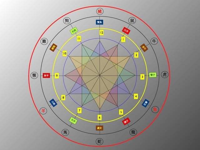 十二生肖女最好婚配属相,十二生肖女龙的属相婚配表