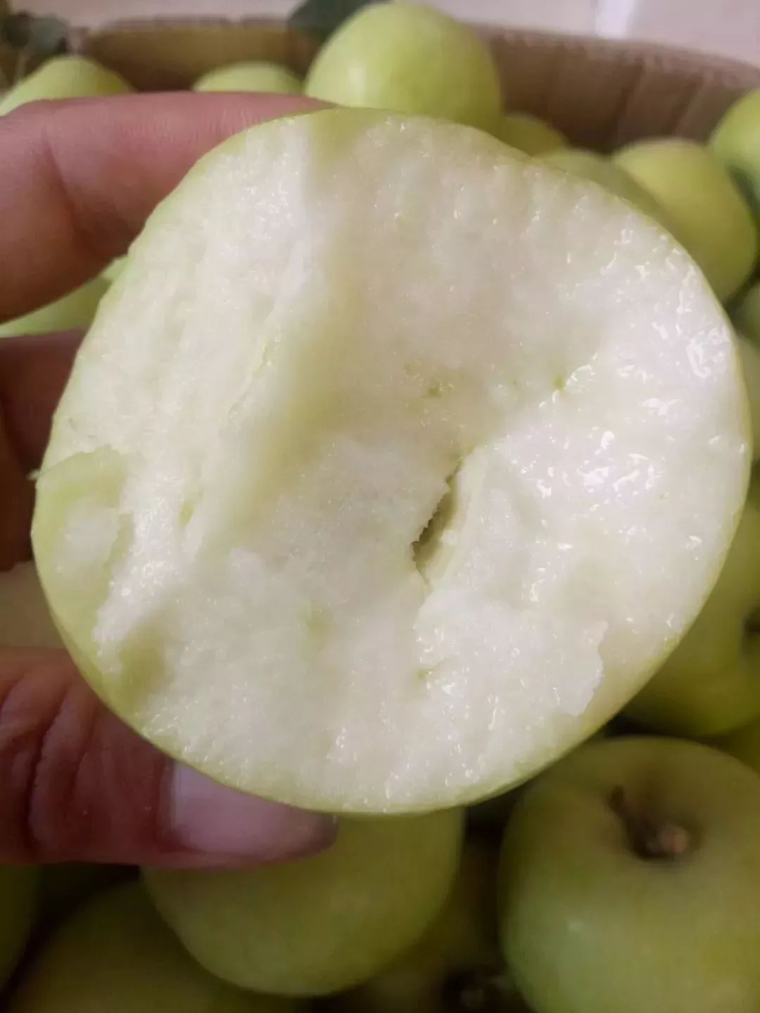 晚上吃苹果为什么堪比砒霜,为什么说苹果晚上吃是毒果