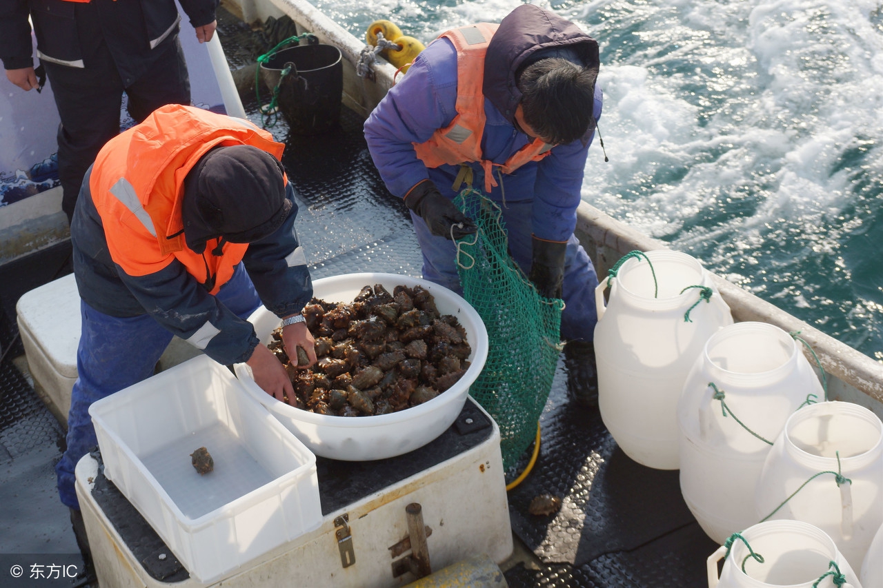 避暑胜地大连,避暑大连