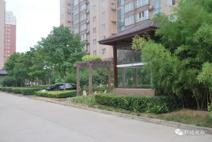 杨凌绿化最好的小区,杨凌绿地二期附近公园推荐
