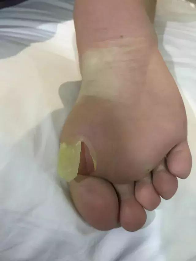 苏溪三小足球队,浙江省希望杯校园足球