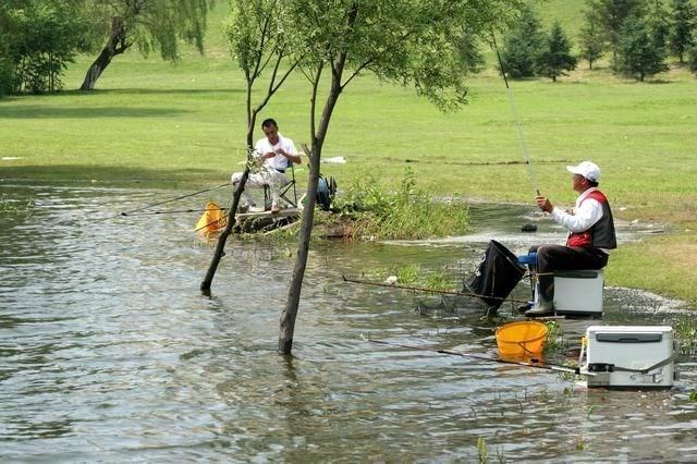 钓鲫鱼用什么饵料最好夏天,夏天七星漂钓鲫鱼挂什么饵料