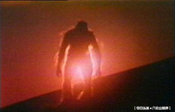 小说野人免费阅读,野人小说大全