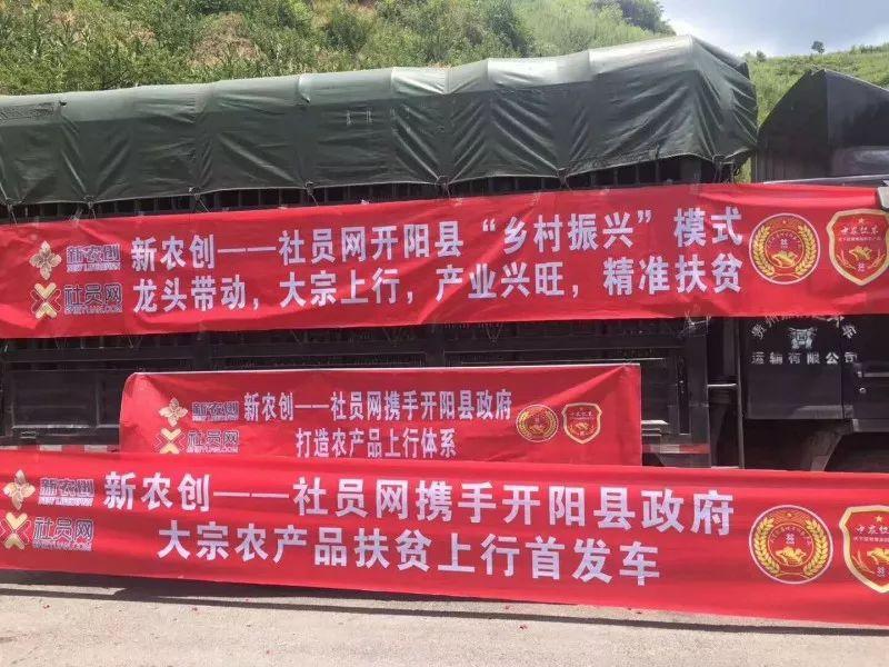 蔬菜太难卖了怎么办,蔬菜销售问题及解决方案