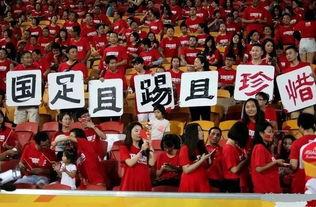 澶璇勪环涓浗鐢疯冻,娉版．璇勪环涓浗鐢疯冻