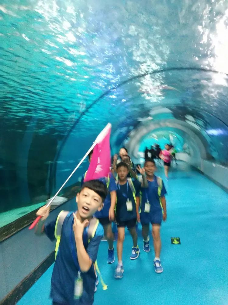 关爱困境儿童夏令营,关爱留守困境儿童夏令营亮点