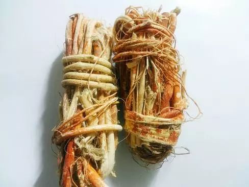 脾虚湿重可以饮五指毛桃汤,入伏吃五指毛桃汤祛湿