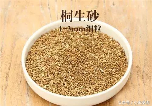 多肉颗粒土直播,多肉颗粒土批发