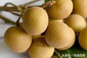 南澳十大特产，你常见的只有4种，还有6种你去南澳不一定买得到