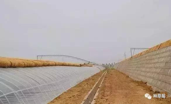 温室大棚120平方米建造价格一览表,温室大棚建造哪里最好