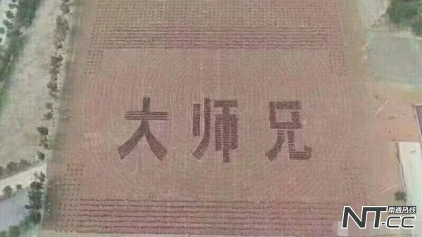 甄子丹回学校,甄子丹去少林寺塔沟武术学校