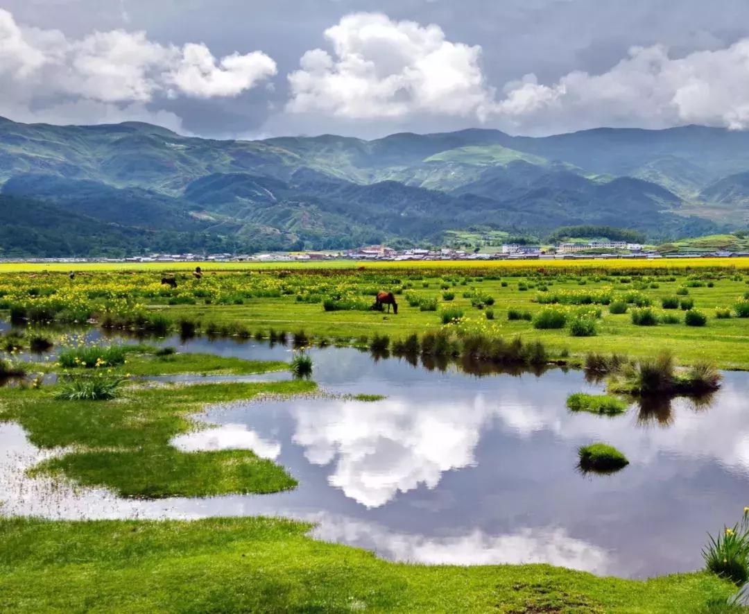 夏天应该怎么去旅游凉快,为什么夏天是最好的旅行时间