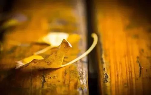 林杰老师课程,林杰老师课程视频