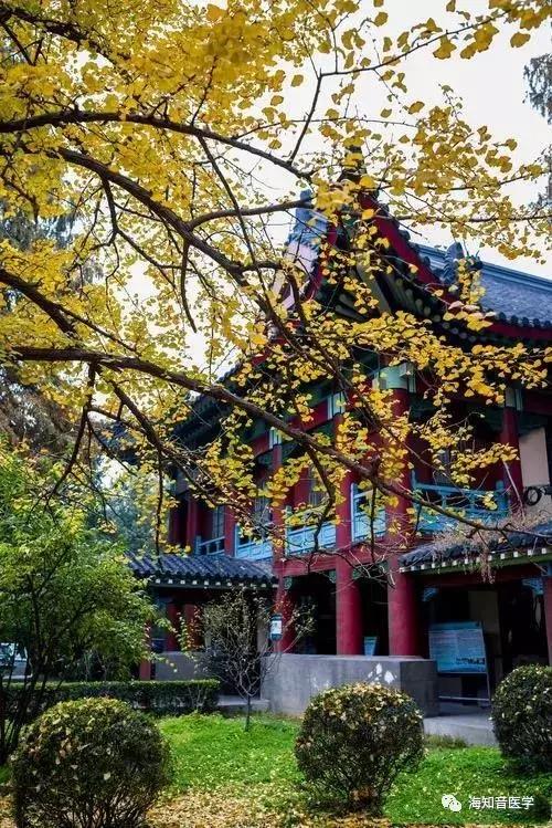 醉美中国——江苏