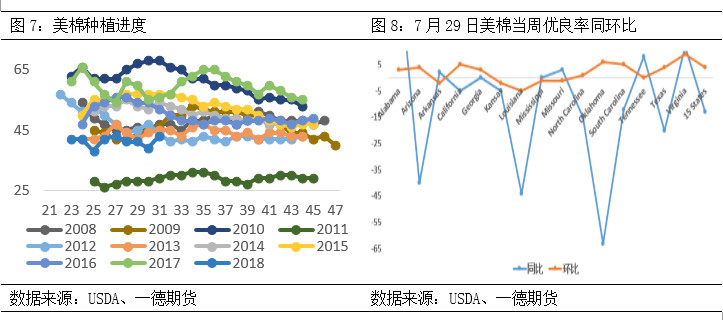 棉花期货郑棉跟随美棉涨跌,棉花郑棉期货最新走势图