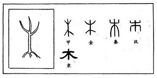 百家姓木姓,百家姓木姓排名